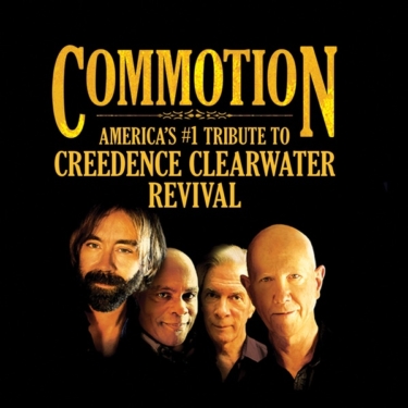 video logo 2